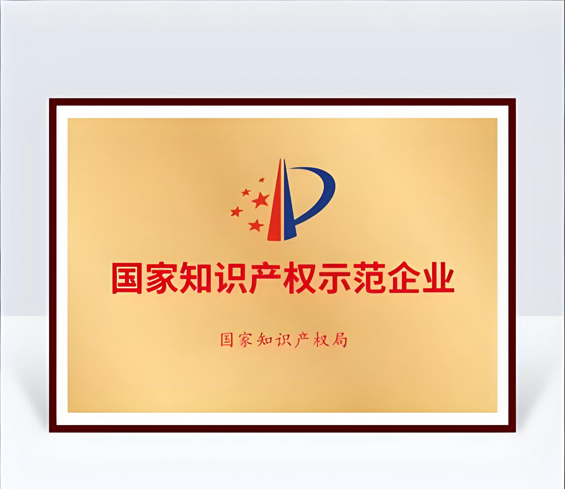 国家知识产权示范企业