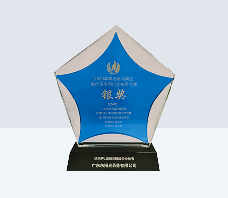 Silver Award in the 2020 Guangdong-Hong Kong-Macao Greater Bay Area High-Value Patent Cultivation and Layout Competition